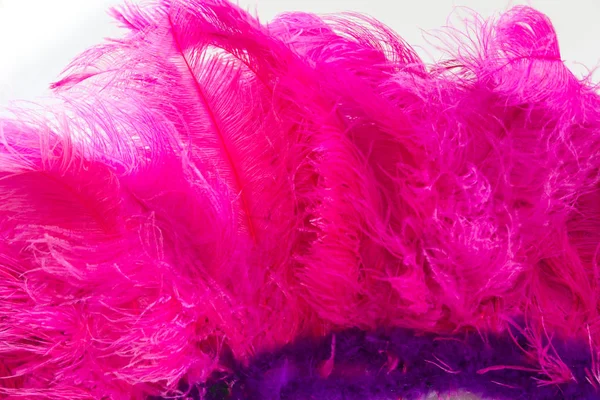 Plumes Dos Broderie Carnaval — Photo