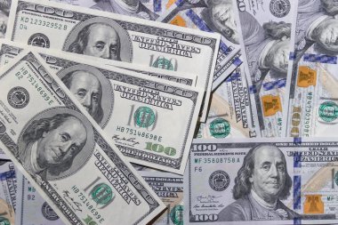 arka plan doku kuş gagası-in 100 Amerikan Doları