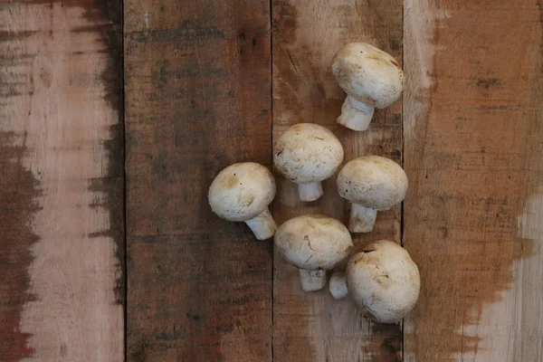 Edible Mushrooms Campignon Rustic Wooden Background — Stock Photo, Image