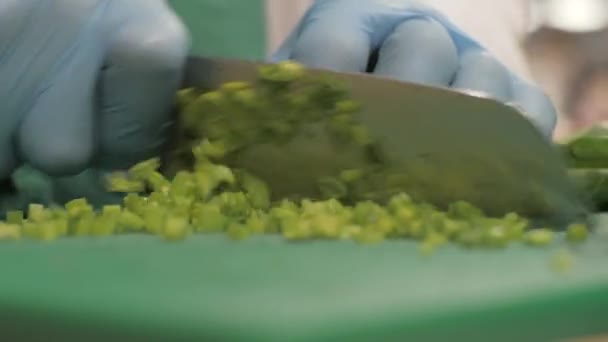 Hände kochen beim Schneiden grüner Zwiebeln an Bord in Restaurantküche aus nächster Nähe — Stockvideo