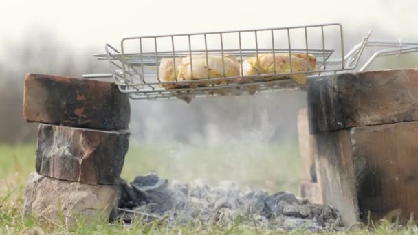 닭 고기 조각 숯 그릴과 뜨거운 불길에 떨어지는 지방에 튀긴 되 — 비디오