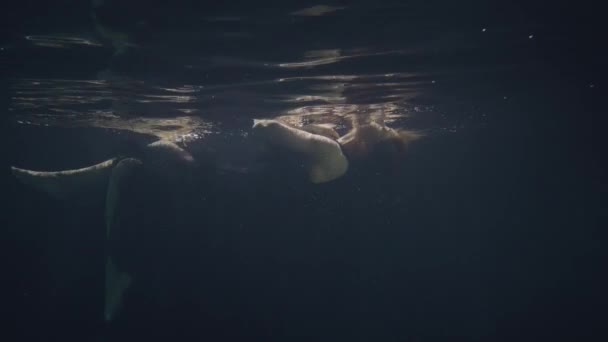 Modemodel in schwarzem Kleid schwimmt unter Wasser auf dunklem Hintergrund — Stockvideo