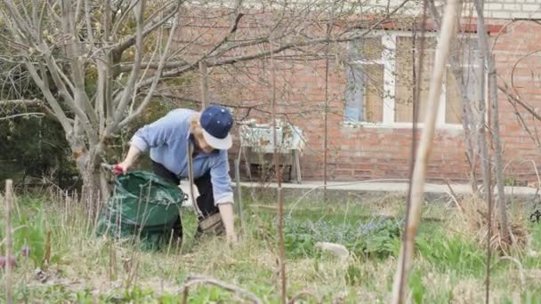 Садовница убирает старую траву с клумбы на заднем дворе сада — стоковое видео