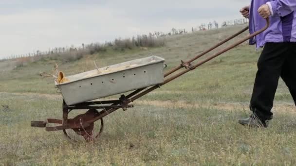 Gardener woman with wheelbarrow walking countryside road garden backyard — Stock Video