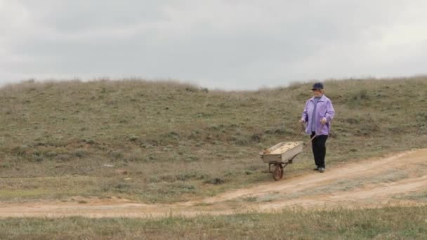 Velho jardineiro mulher andando na estrada rural e empurrando carrinho de jardim — Vídeo de Stock