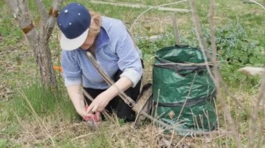 Üst düzey kadın yaşlı dalları Bahçe çalışma sırasında kesim için bahçe aracını kullanarak