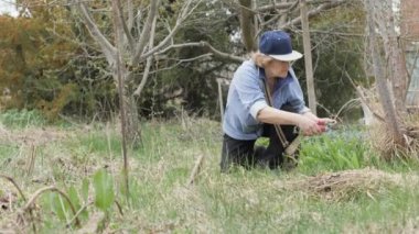 Yaşlı kadın bahçede ağaçlar kuru dalları kesim için bahçe aracını kullanarak