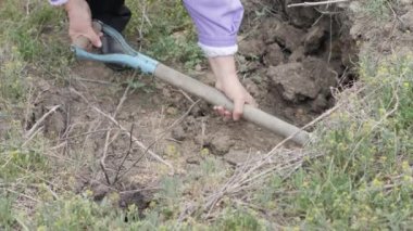 Kazma kürek ve el arabası bahçe içine dökme toprakla bahçıvan kadın