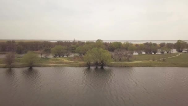 Arbres sur la rive de la rivière et cap rivière sur fond ciel nuageux vue sur drone — Video