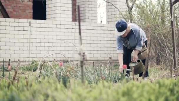 农村花园用水壶浇花的老妇人园丁 — 图库视频影像