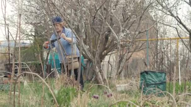 Kadın kıdemli bahçıvan kırsal bahçede çalışırken Bush dalları testere ile kesme — Stok video