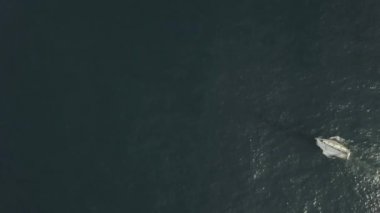 Mavi deniz uçağı uçan çekim yelken yat