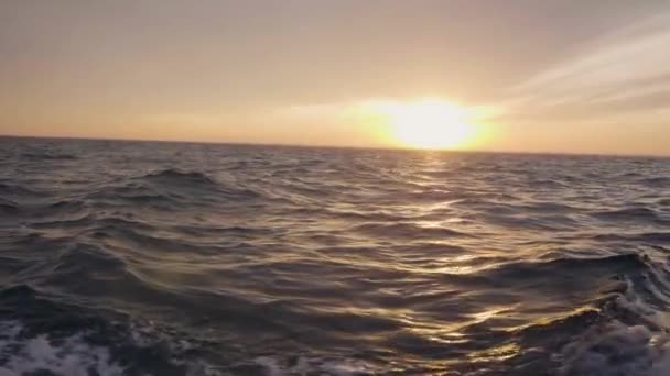 Vista desde el barco a bordo mientras navega en olas marinas y atardecer en el cielo — Vídeos de Stock