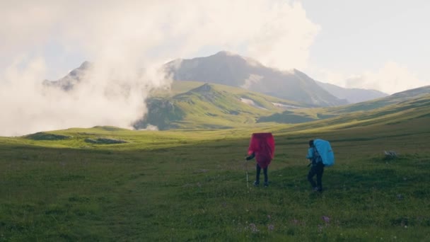 Turistgrupp promenader på grönt fält på berg landskap bakgrund — Stockvideo