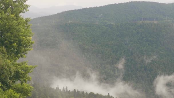 Nuages broussailleux sur les montagnes vertes et les collines couvertes de forêt verte — Video