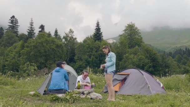 Amigos descansando no acampamento de verão. Pessoas descansando perto de barraca de acampamento na floresta — Vídeo de Stock