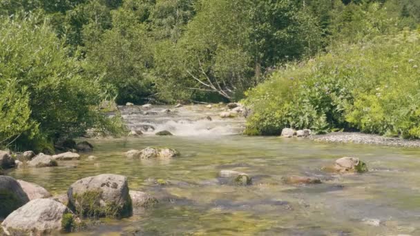 Vodní proud toku mezi kameny v létě lese. Krásné divoké přírody — Stock video