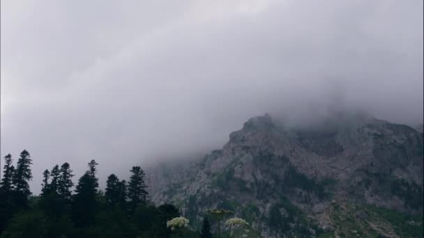 Berggipfellandschaft und Wolken am Himmel über grünem Wald im Zeitraffer — Stockvideo