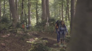 Grup yaz seyahat sırasında orman yolu üzerinde yürüyen turist insan