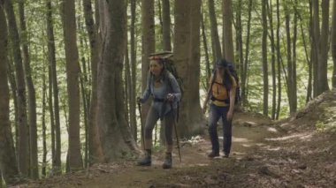 Turist insanlar ormanda yaz tatillerini hiking. Dağcılık ve trekking