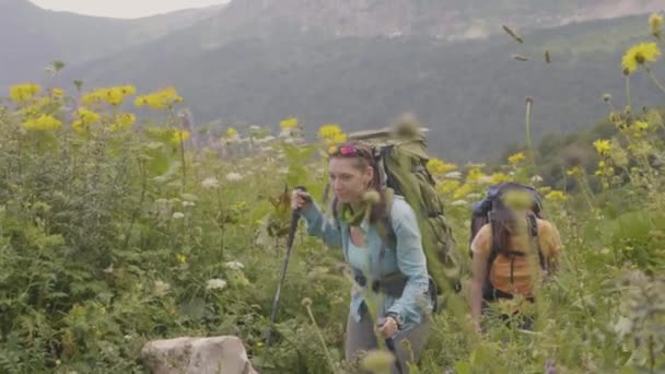 Grupa ludzi turystycznych, trekking na lato pole na tle krajobrazu górskiego — Wideo stockowe