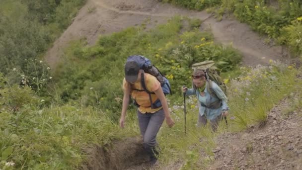 투어를 하이킹 하는 동안 산길에 등산 하는 여자. 마운틴 여행 개념 — 비디오
