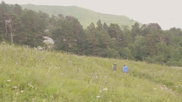 Dağ hiking sırt çantası ile turist insanlar. Turizm ve aktif yaşam tarzı — Stok video