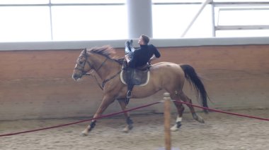Bir binicilik arena bir adam hile. Adam atlı stunts yapıyor. Bir at yalan kişini.