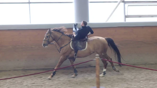 A man trick riding a horse on arena. Man doing stunts on horseback. Man riding a horse lying.