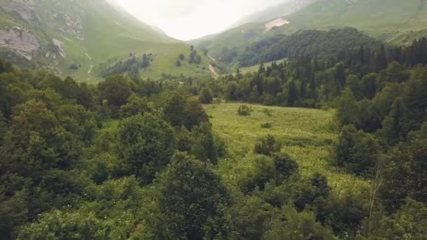 Letecká krajinu horského lesa v krásném údolí. Vrchol hory zataženo — Stock video