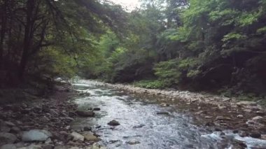 Dağ nehir taşları yaz orman hava görünümünde akan dere