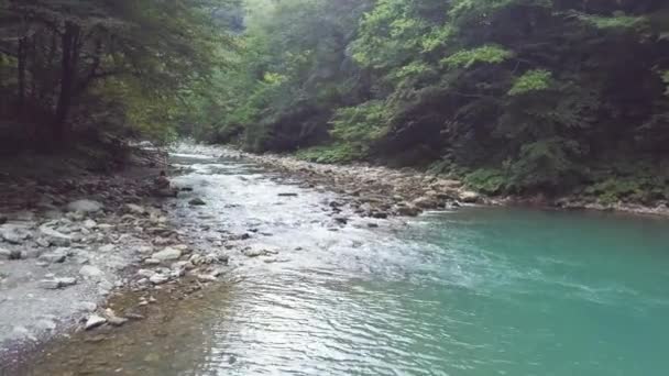 Folyó medence, kék víz légi erdőre. Nő köves folyó partján — Stock videók