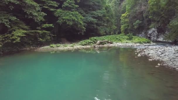 View from drone river pool with blue water. Water stream of river in forest — Stock Video