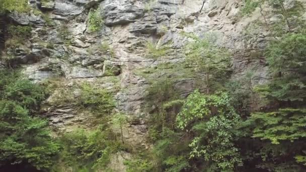 Prachtige rivier met blauwe water en rotsachtige klip in berg bos luchtfoto — Stockvideo