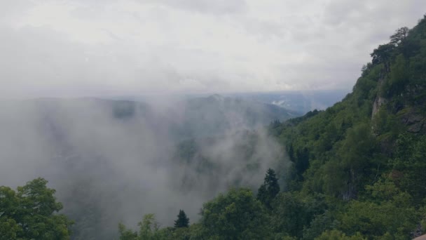 Ködös felhők, hegyi-völgy és a hegyek borított zöld erdő. Pára ködös a Felvidéken — Stock videók