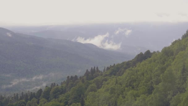 Panoramic view mountain valley and green highlands in misty haze — Stock Video