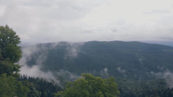 Montanhas verdes e nuvens nebulosas sobre picos coberto floresta verde — Vídeo de Stock
