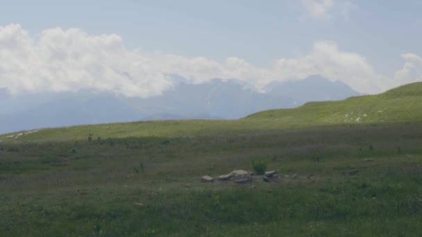 Toeristische mensen lopen op groene weide op bergen landschap achtergrond — Stockvideo