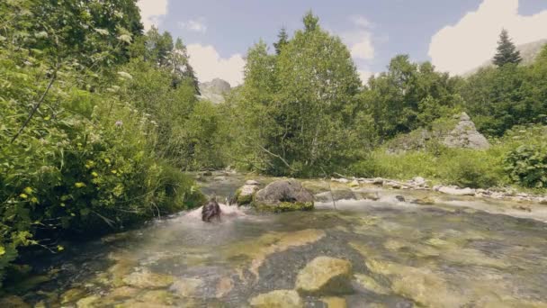 A fiatalember folyó víz fürdeni, és megrázta a nedves haj lassú mozgás — Stock videók
