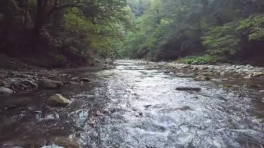 Hava yaz ormanda akan taşlı Nehri üzerinde casus uçak uçan çekim