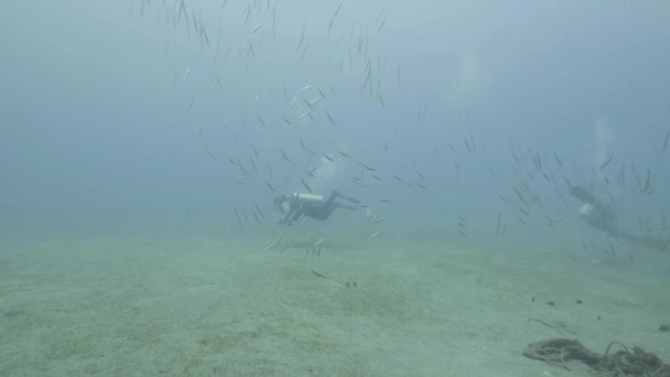 Scuba diver zwemmen tussen de vissen op de zeebodem onderwater uitzicht. Zee duiken — Stockvideo