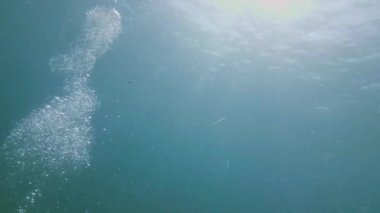 Mavi deniz su hava kabarcıkları kapatın. Derin dalış sırasında hava kabarcıkları