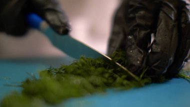 Şef eller restoranda akşam yemeği için taze dereotu kesme yakın çekim