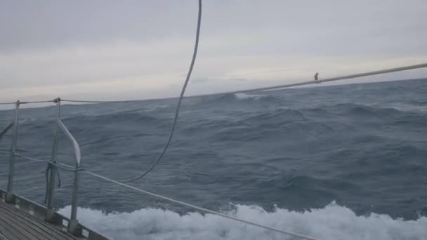 Sail yacht sailing on sea waves and birds flying in cloudy sky view from board — Stock Video