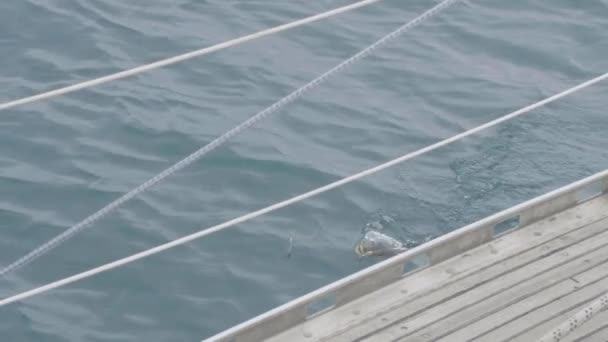 Fish catching in sea water from sailing ship. Fisherman fishing in pacific ocean — Stock Video