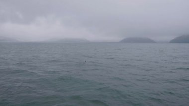 Havadan görünümü okyanus su, bulutlu manzarası ve deniz kuşu suda yüzen adada