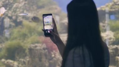Genç kadın oceanarium Denizaltı Dünya Yüzme mobil video balık tutmak