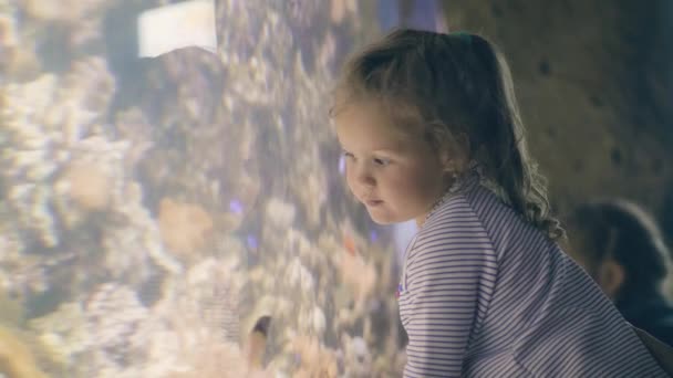Petite fille mignonne regardant les poissons tropicaux nager dans le monde sous-marin dans l'océanarium — Video