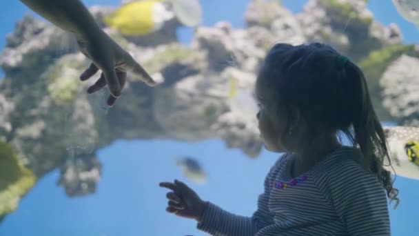 Mooi klein meisje kijken naar zeevis zwemmen in onderzeese wereld in Oceanário de Lisboa — Stockvideo