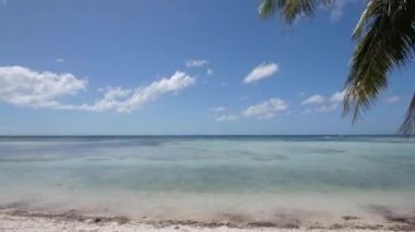 Mavi deniz ufuk arka plan ve yaz plaj timelapse üzerinde palmiye ağacının dalını